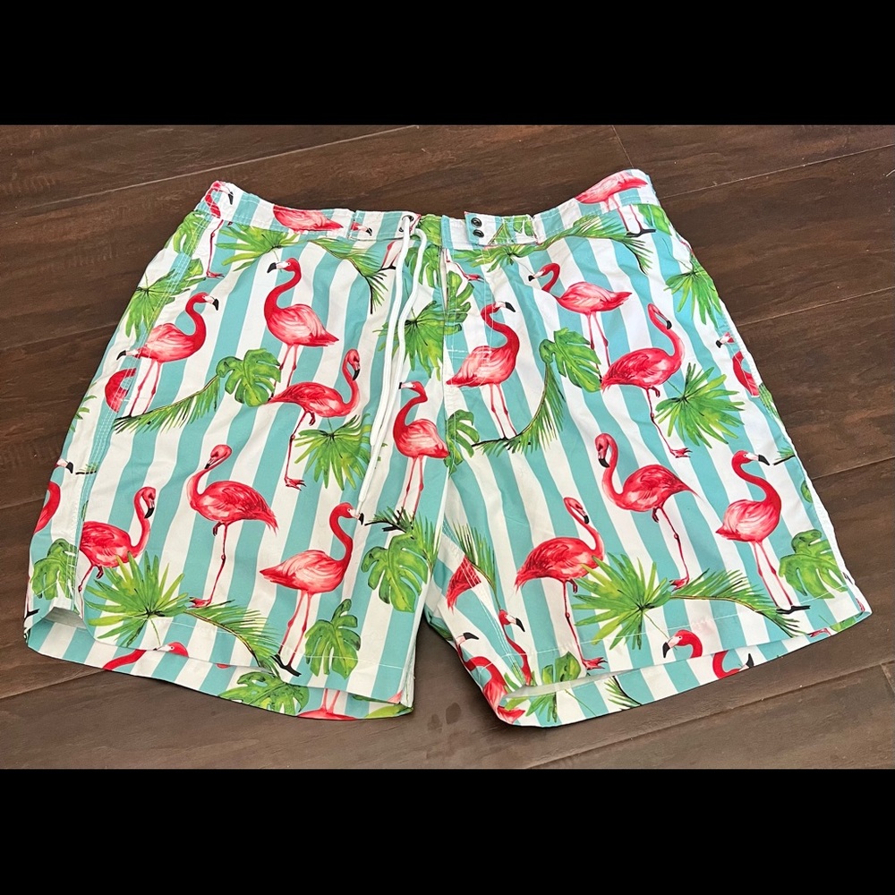 Flamingo/Tropical Swim Trunks